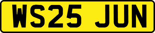 WS25JUN