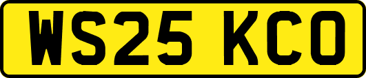 WS25KCO