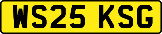 WS25KSG