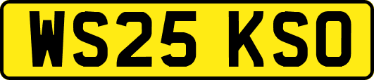 WS25KSO