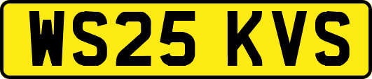 WS25KVS