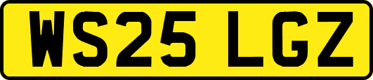 WS25LGZ