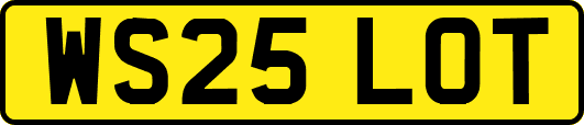 WS25LOT