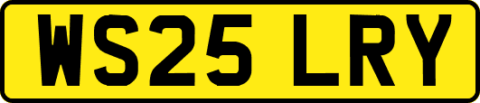 WS25LRY