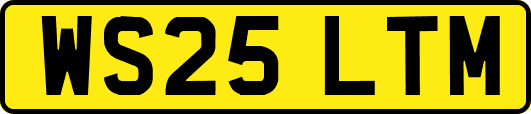 WS25LTM