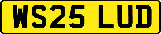 WS25LUD
