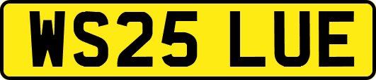 WS25LUE