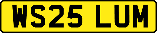 WS25LUM