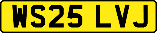 WS25LVJ