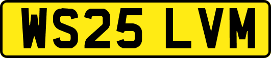 WS25LVM