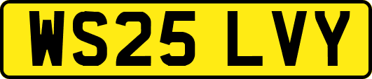 WS25LVY