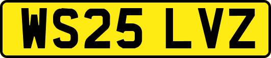 WS25LVZ