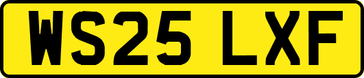 WS25LXF