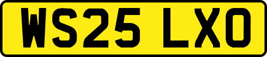 WS25LXO