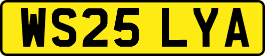 WS25LYA
