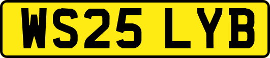WS25LYB