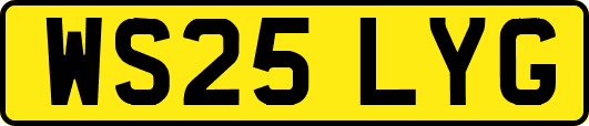 WS25LYG