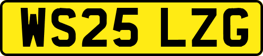 WS25LZG