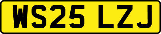 WS25LZJ