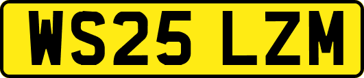 WS25LZM