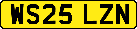 WS25LZN