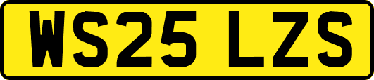 WS25LZS
