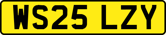 WS25LZY
