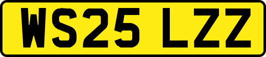 WS25LZZ