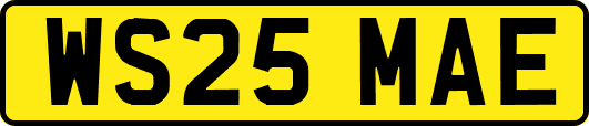 WS25MAE