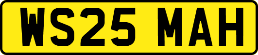 WS25MAH
