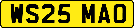 WS25MAO