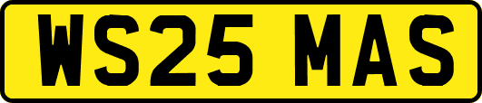 WS25MAS