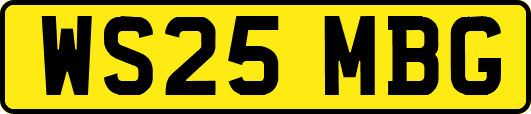 WS25MBG