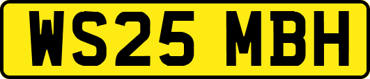 WS25MBH