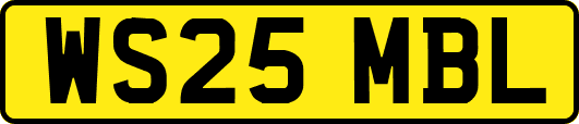 WS25MBL