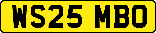 WS25MBO