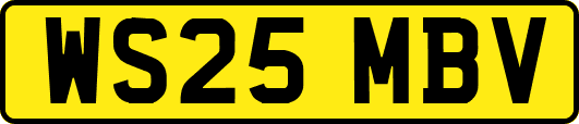 WS25MBV