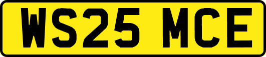 WS25MCE