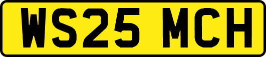 WS25MCH