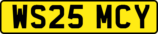 WS25MCY