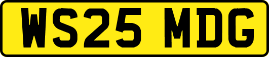 WS25MDG