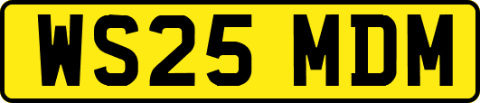 WS25MDM