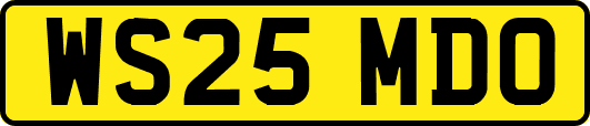 WS25MDO