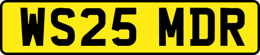 WS25MDR