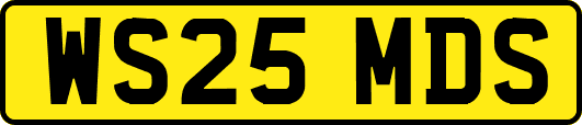 WS25MDS