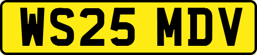 WS25MDV
