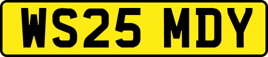 WS25MDY