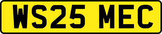 WS25MEC