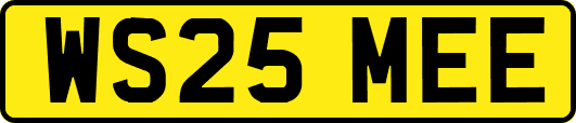 WS25MEE
