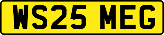 WS25MEG